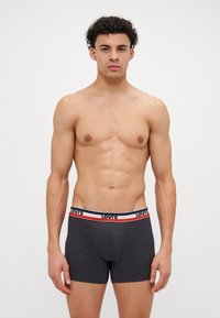 Szürke pamut boxeralsó, fekete "Levi's" logóval és piros-fehér csíkokkal díszített derékrész. Simább textúra és testhez simuló fazon.