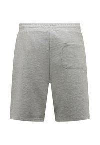 Local Fanatic JOGGING - Trainingsbroek - grijs