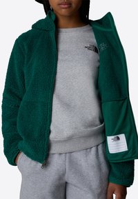 The North Face CAMPSHIRE - Forro polar - evergreen