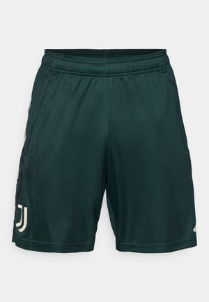 adidas Performance JUVENTUS 25/26 TIRO25 EUROPEAN TRAINING SHORTS - Klupska odjeća - shadow green