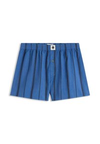Pantaloncini a righe blu realizzati in tessuto leggero, con elastico in vita, chiusura con bottone e strisce verticali nere a contrasto.