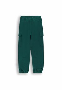 Zielone dresowe spodnie wykonane z miękkiego materiału, z elastyczną talią, elastycznymi mankietami oraz dwoma bocznymi kieszeniami cargo dla dodatkowej funkcjonalności.