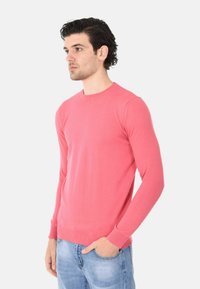 Maglione lavorato a maglia rosa con scollo rotondo e maniche lunghe, con bordo a costine in fondo e sui polsini, indossato sopra jeans blu chiaro.