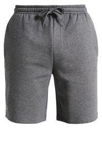 Grå bomullsshorts med elastisk midja och dragsko, med sidofickor och en liten logotyp på nedre vänstra benet.