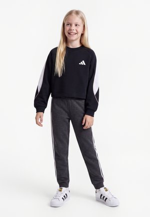 adidas Performance STADIUM UNISEX - Sweater - black/off white