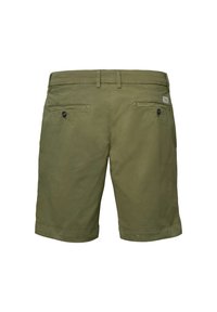 MCS Shorts - winter moss