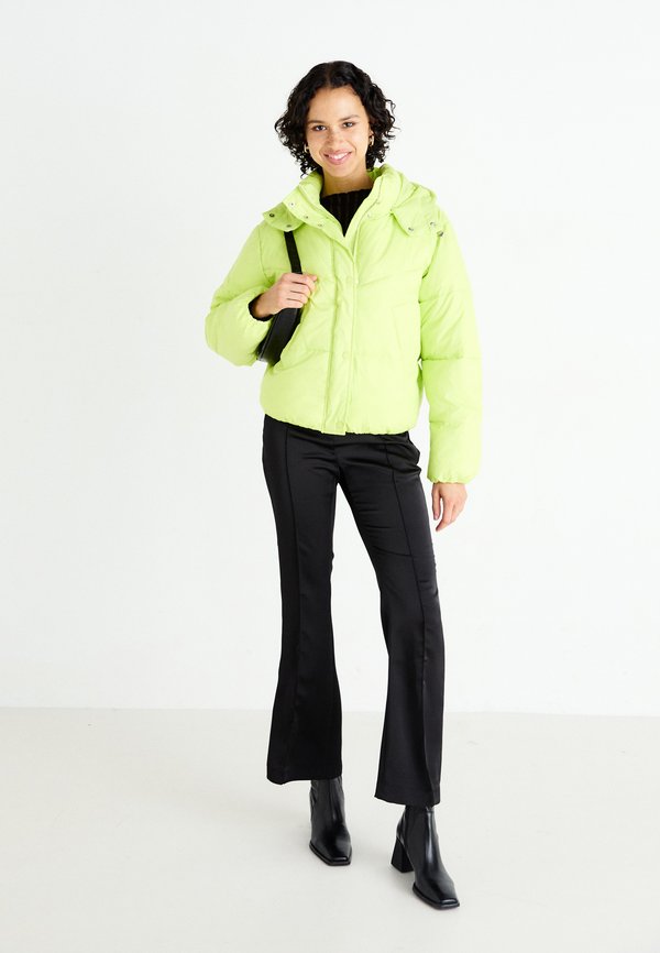 Winter jacket - lime4