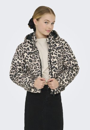 ONLY GIRLS KOGDALIA PUFFER JACKET - Χειμωνιάτικο μπουφάν - silver mink
