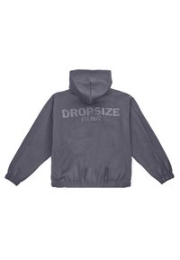 Hanorac gri cu glugă, având manșete și tiv elastic. Inscripția „DROPSIZE EST. 2020” este brodată proeminent pe spate, într-o culoare asortată.