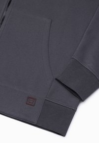 Ombre WITH PRINTS  - Sweatjakke - graphite