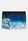 NORTON PLACED TRUNKS - Peldbikses - black/blue
