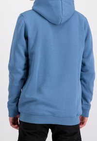 Felpa azzurra con cappuccio, dotata di maniche lunghe e orlo a coste. Tessuto liscio senza motivi o dettagli visibili.