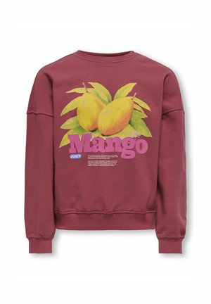 KOGPHILEA LIFE O NECK - Sweatshirt - earth red