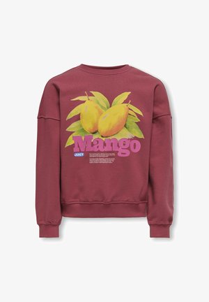 KOGPHILEA LIFE O NECK - Sportinis megztinis - earth red