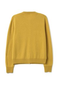 Maglione giallo lavorato a maglia, colletto tondo, maniche lunghe, texture morbida, vita e polsini aderenti, senza motivi o accessori visibili. Vista posteriore mostrata.