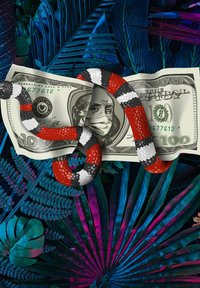 Un serpent coloré rouge, noir et blanc se faufile sur un billet de 100 dollars portant un masque facial, le tout sur fond de feuilles tropicales bleues et violettes.