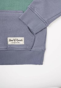 Close-up of a purple sweatshirt’s sleeve and pocket with a “Band of Rascals” label, shown on a white and green background.