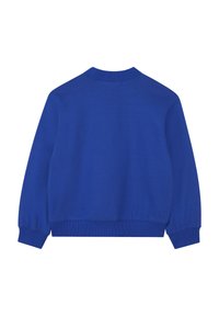 Blauwe sweatshirt met een geribbelde ronde hals, lange mouwen en een effen textuur. De achterkant laat een gladde stof zien zonder patronen of versieringen.