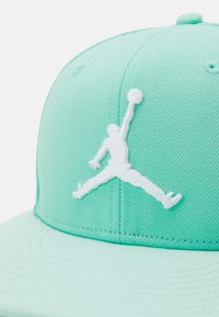 Jordan PRO JUMPMAN UNISEX - Sapka - emerald rise