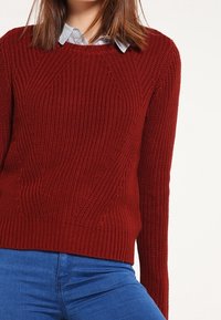 Maglione a maglia color ruggine con un motivo testurizzato, polsini e bordo a costine. Indossato sopra una camicia colletto azzurra.