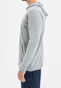 Trendyol Kapuzenpullover - grey