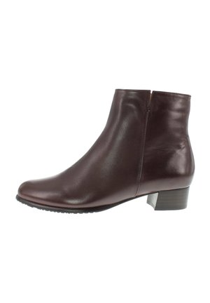 Everybody, EVERYBODY STIEFELETTE - Classic ankle boots - glove vino