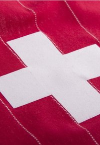 COPA SCHWEIZ  - T-shirt print - red
