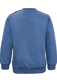 Blauwe sweatshirt, ronde hals, lange mouwen, ribgebreide boorden en onderrand, zachte textuur, geen zichtbare afbeeldingen of patronen, achteraanzicht.