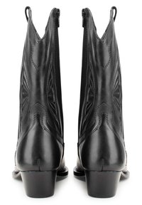 Botines de cuero negro hasta el tobillo con puntera afilada, que presentan costuras decorativas y una cremallera lateral. El tacón tiene un tamaño modesto.