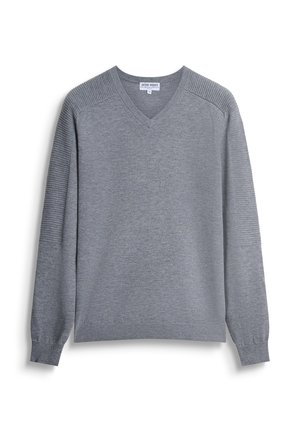 REGULAR FIT - Trui - light grey