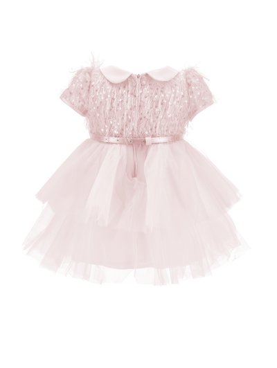 Robe rose pâle pour tout-petit avec corsage à plumes pailletées, col Claudine, manches courtes, jupe en tulle superposée et fine ceinture à la taille.