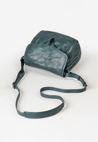 Borsa a spalla verde in pelle con forma arrotondata, dotata di un flap frontale e una tracolla regolabile, che presenta una texture liscia e una leggera lucentezza.