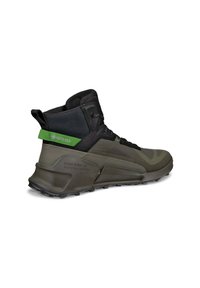 Vihreät ja mustat vaelluskengät, joissa on korkea nilkkadesign, Gore-Tex-merkintä, teksturoitu päällismateriaali sekä kestävä kumipohja pitävyyttä varten.