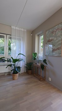 Notranja scena z lesenim podom, dvema velikima rastlinama z listi v pletenih košarah, bambusovo policijo, prosojnimi belimi zavesami in okvirjeno umetnostjo.