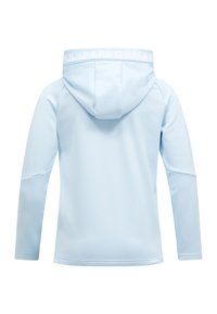 Felpa azzurra chiara dal tessuto morbido, con un logo sul retro e un cappuccio con cordino. Maniche lunghe e design a taglio dritto.