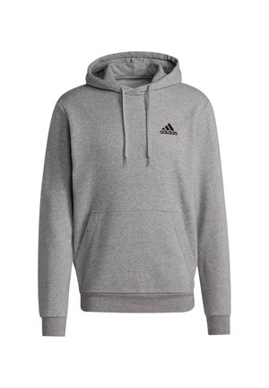 Jersey con capucha - grey