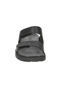 Sandales noires en cuir, dotées de deux sangles réglables avec Velcro, d'une semelle rembourrée et de détails perforés pour la respirabilité.
