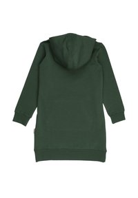 Grünes Kapuzensweatshirtkleid aus weichem Material, mit langen Ärmeln, Kapuze und geradem Schnitt. Einfaches Design in einer einfarbigen Ausführung.