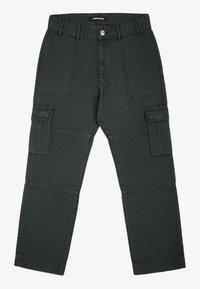RISLEY - Cargobyxor - olive green