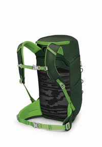 Osprey JET WANDER - Mochila de trekking - green canopy limeline green