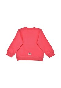 Pink sweatshirt with long sleeves, round neckline, ribbed cuffs, and hem. Features a small embroidered rainbow detail on the back.