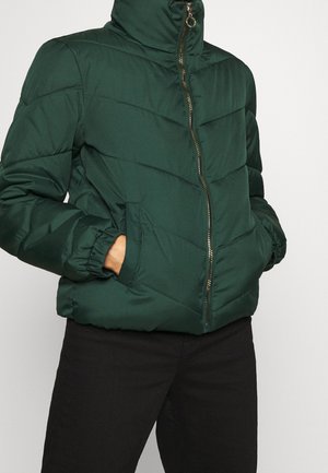 Chaqueta de invierno - dark green