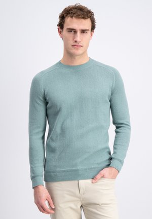 Junger Mann mit lockigem braunem Haar, der einen hellblauen Rundhalspullover und beige Hose trägt, steht mit einer Hand in der Tasche.