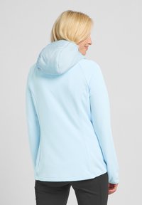 Jack Wolfskin ROUTEBURN PRO HYBRID - Winterjas - ice blue