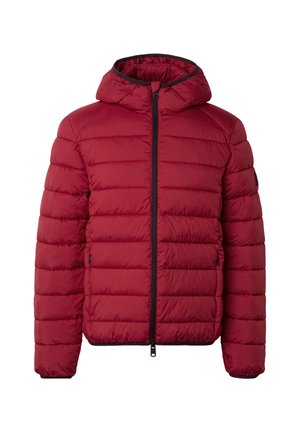 Rode gewatteerde pufferjack met capuchon en zwarte rits, vooraanzicht met lange mouwen en zijzakken.