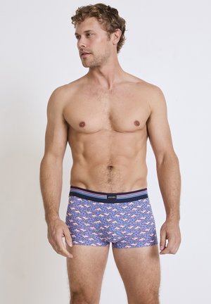 Men's boxer briefs in a light blue fabric featuring a flamingo pattern. Elastic waistband with red and blue stripes, soft texture.