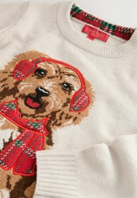 Helles beiges Sweatshirt mit einem Hundemotiv, roten Ohrenschützern und einem grün gemusterten Schal. Rippbündchen an den Ärmeln und am Halsausschnitt. Weicher Stoff.