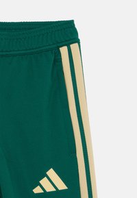 Πράσινο αθλητικό παντελόνι από μαλακό ύφασμα, με χρυσές ρίγες στα πλάγια και ανάγλυφο λογότυπο στο κάτω αριστερό πόδι. Περιλαμβάνει ελαστική ζώνη μέσης.