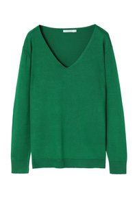Maglione verde con scollo a V realizzato in morbido tessuto a maglia, con maniche lunghe e orlo a costine, caratterizzato da una texture liscia e uniforme su tutta la superficie.