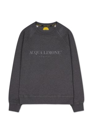 COLLEGE CLASSIC - Sweatshirt - anthracite